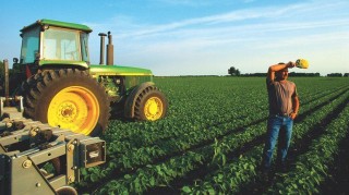 soja plantacion con tractor