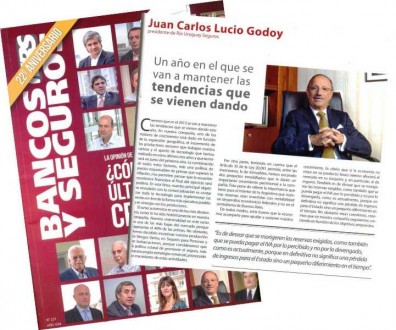 Publicaciones-Revista-Bancos-y-Seguros-enero-2015