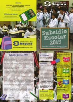 Subsidio Escolar 2015 - foto afiche