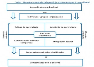 elementos del aprendizaje organizacional