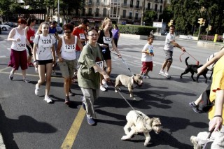 maraton con perros