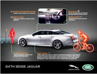 jaguar y las ondas cerebrales