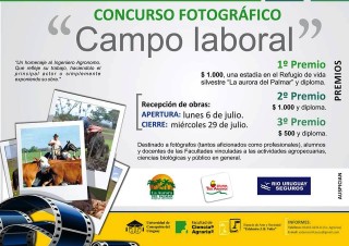 CONCURSO fotografico UCU 2015 afiche