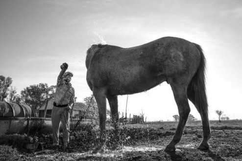 CONCURSO fotografico UCU 2015 foto muestra