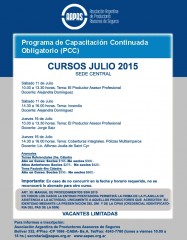 cursos AAPas jul 2015