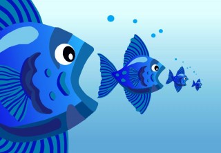 pez grande se come al chico