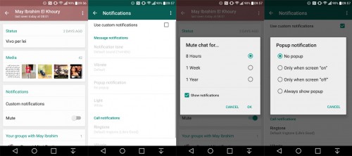 Actualizacion del WhatsApp-2