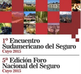 Foro del SEguro mendoza 2015