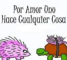 humor amor