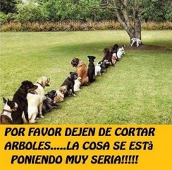 humor - por favor Hugo Moreyra