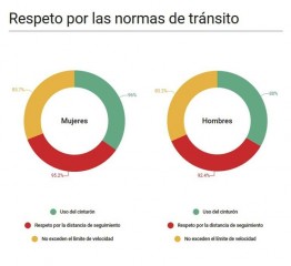 seguridad vial mujeres y varones