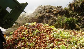 desperdicio de alimento FAO