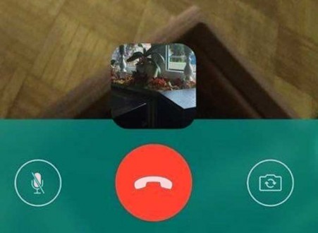 Video-llamada-