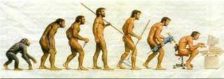 evolucion humana