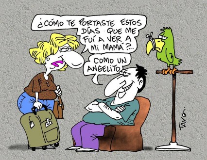 Humor - Loro mudo