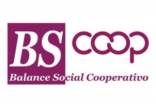 balance social cooperativo logo ene 2016