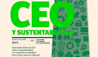 ceo y sustentabilidad