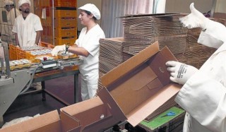 las cooperativas experiencias de exito