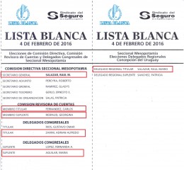 Sindicato del Seguro lista blanca feb 2016 companieros rus