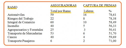 cuadro-seguro-argentino-inese