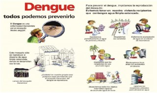 dengue 1