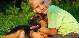 perros con chicos en la casa