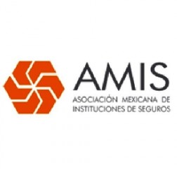 Amis logo asociacion de instituciones aseguradoras mexicana