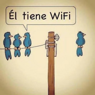 Humor - Pajarito