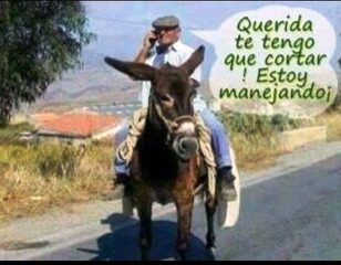 humor seguridad vial