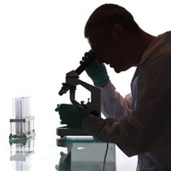 Scientist looking into a microscope in a laboratory