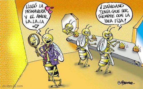 humor-primavera